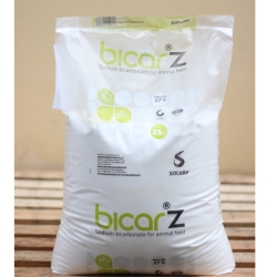 Sodium bicarbonate - Công Ty TNHH Kiến Vương